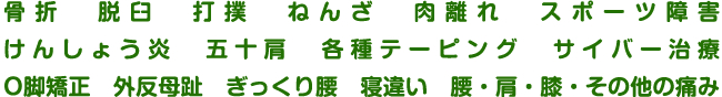 骨折　脱臼　打撲　ねんざ　肉離れ　スポーツ障害　けんしょう炎　五十肩　各種テーピング　サイバー治療　O脚矯正　外反母趾　ぎっくり腰　寝違い　腰・肩・膝・その他の痛み